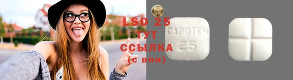 гашик Володарск