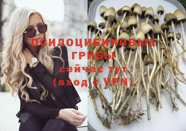гашик Володарск