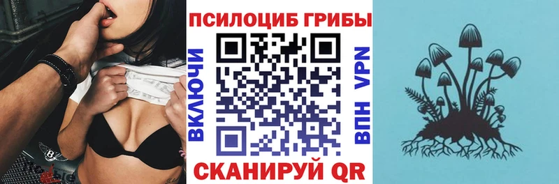 Псилоцибиновые грибы прущие грибы  Вытегра 