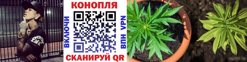 Канабис VHQ  Вытегра 